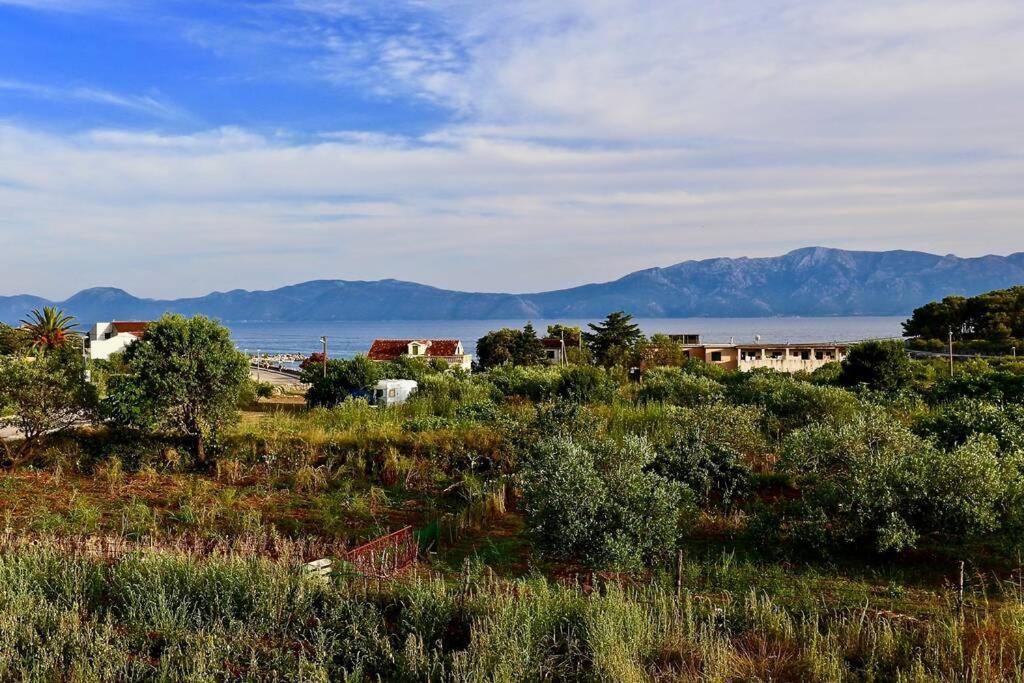 Manora Sucuraj 2 Bedroom Apartment Eksteriør bilde